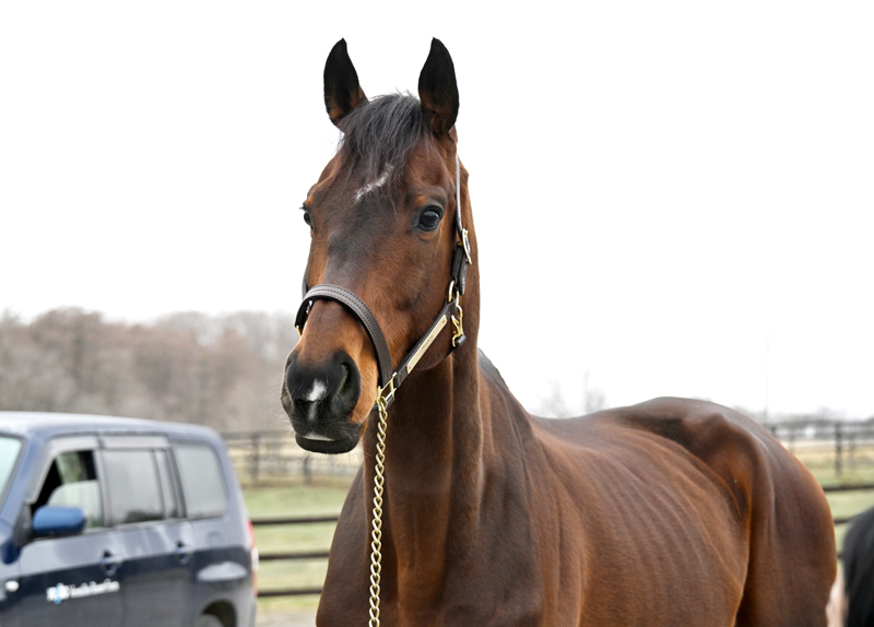 週刊Gallop（Weekly Gallop） tweet media