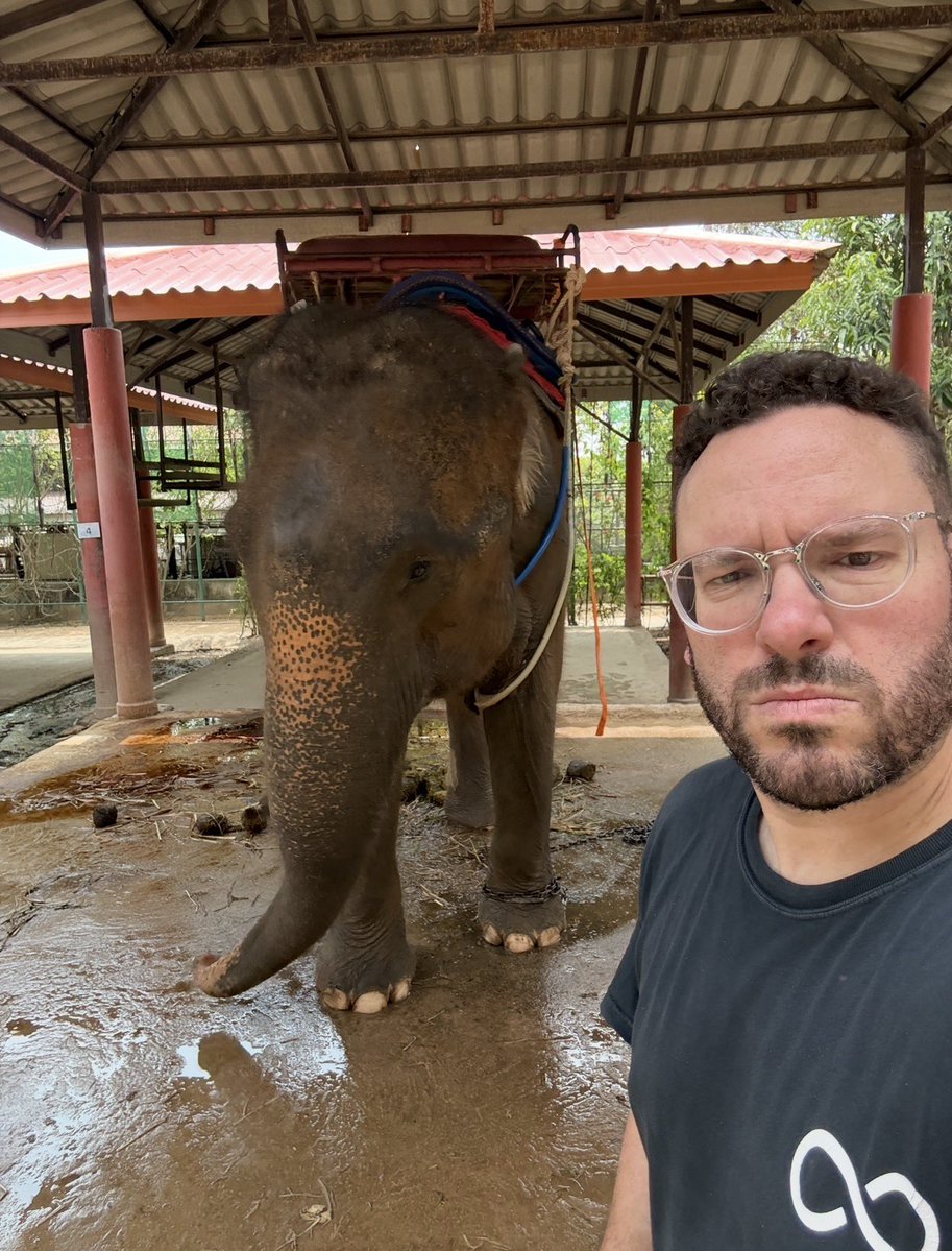 Timothy Sykes tweet media