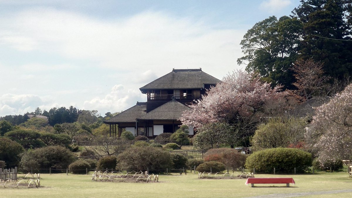 みょこ tweet media