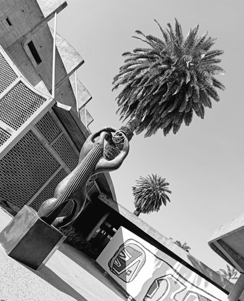 Javier Prats K. tweet media