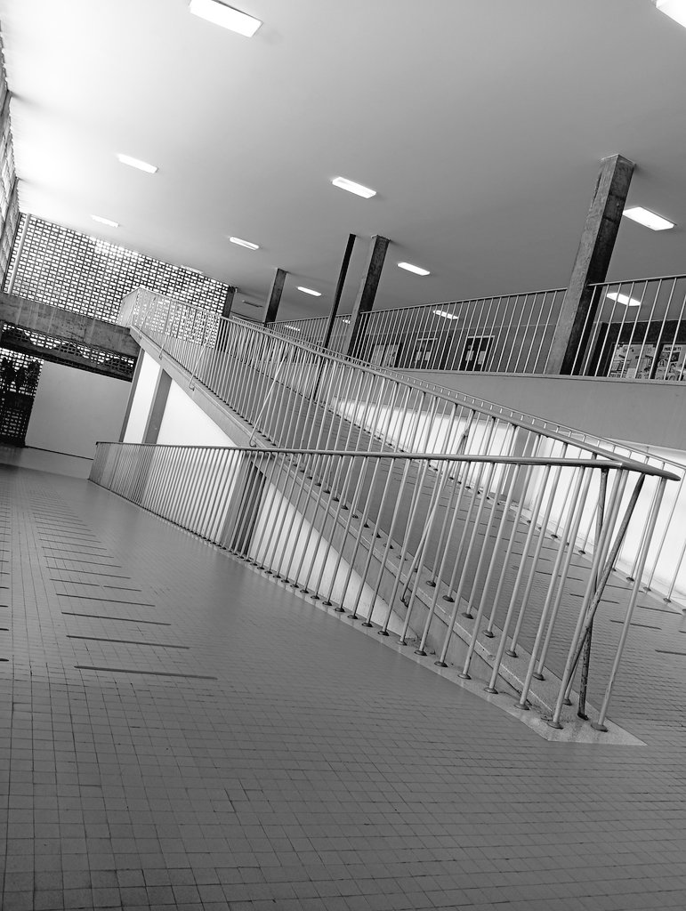 Javier Prats K. tweet media