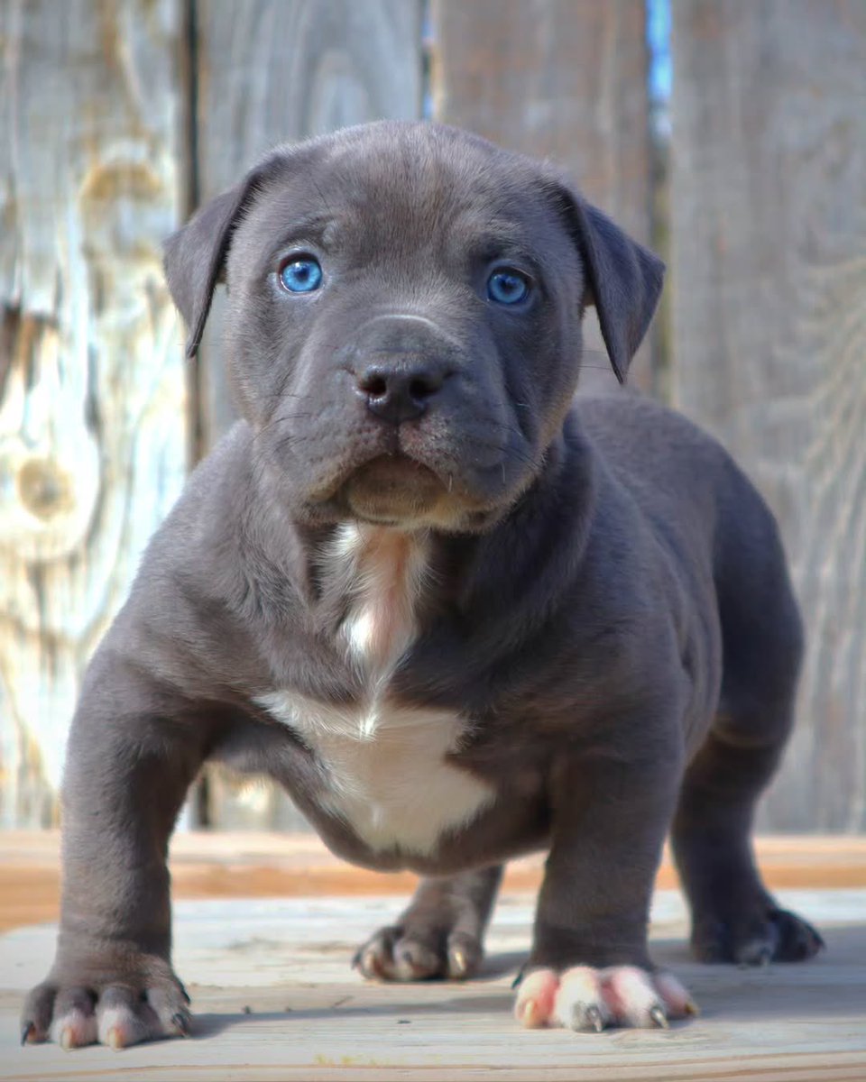 Coverstart tweet media