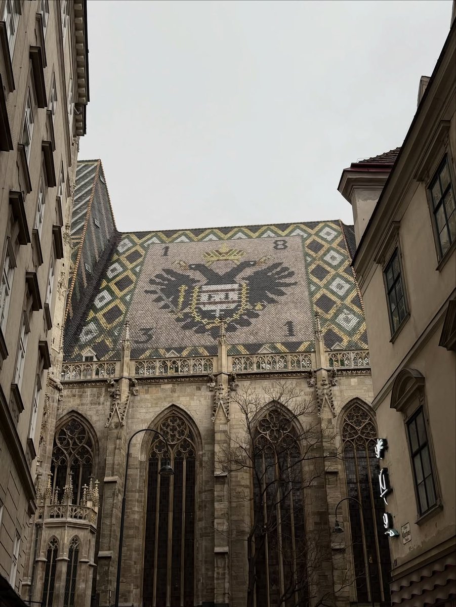 𝑫𝒂𝒎𝒂𝒏 tweet media