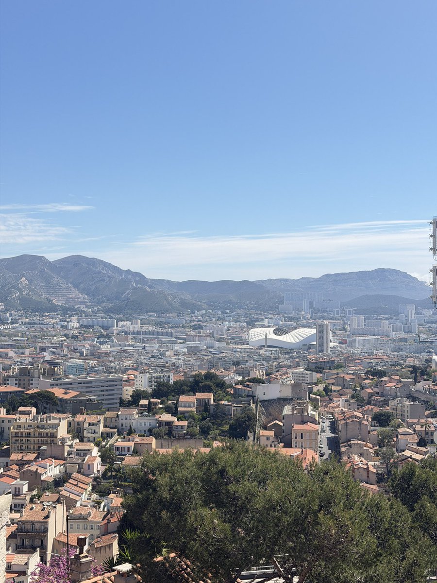 351🇵🇸 tweet media