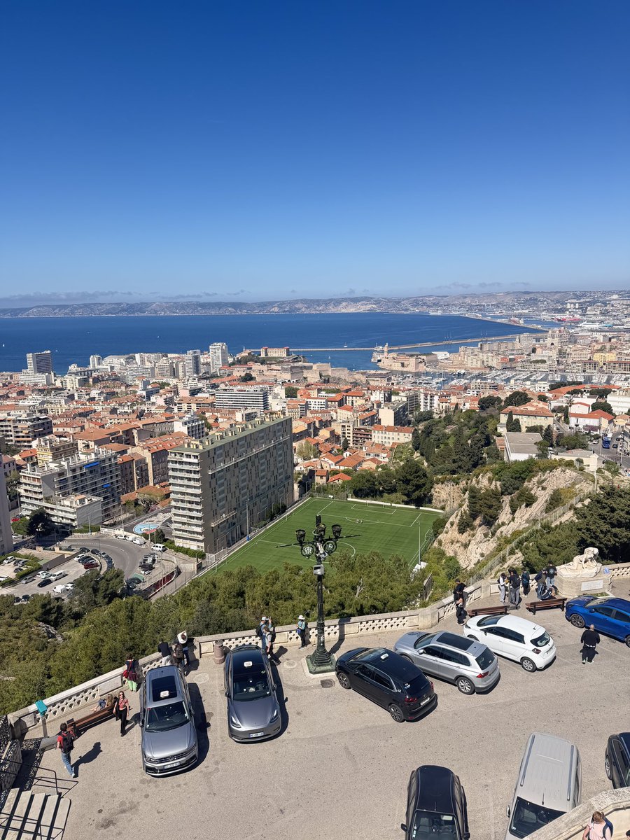 351🇵🇸 tweet media