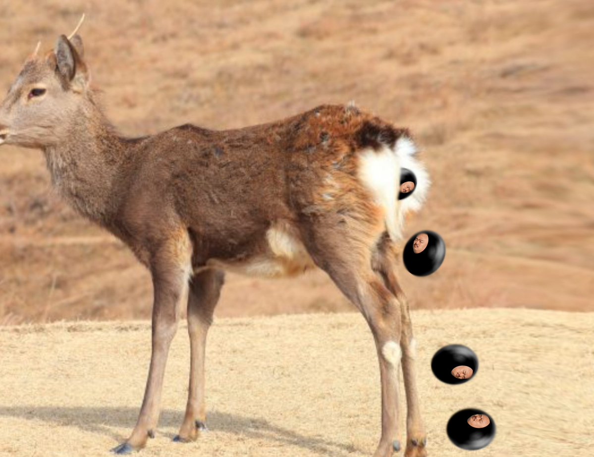 シンわるゆきちゃんΖ tweet media