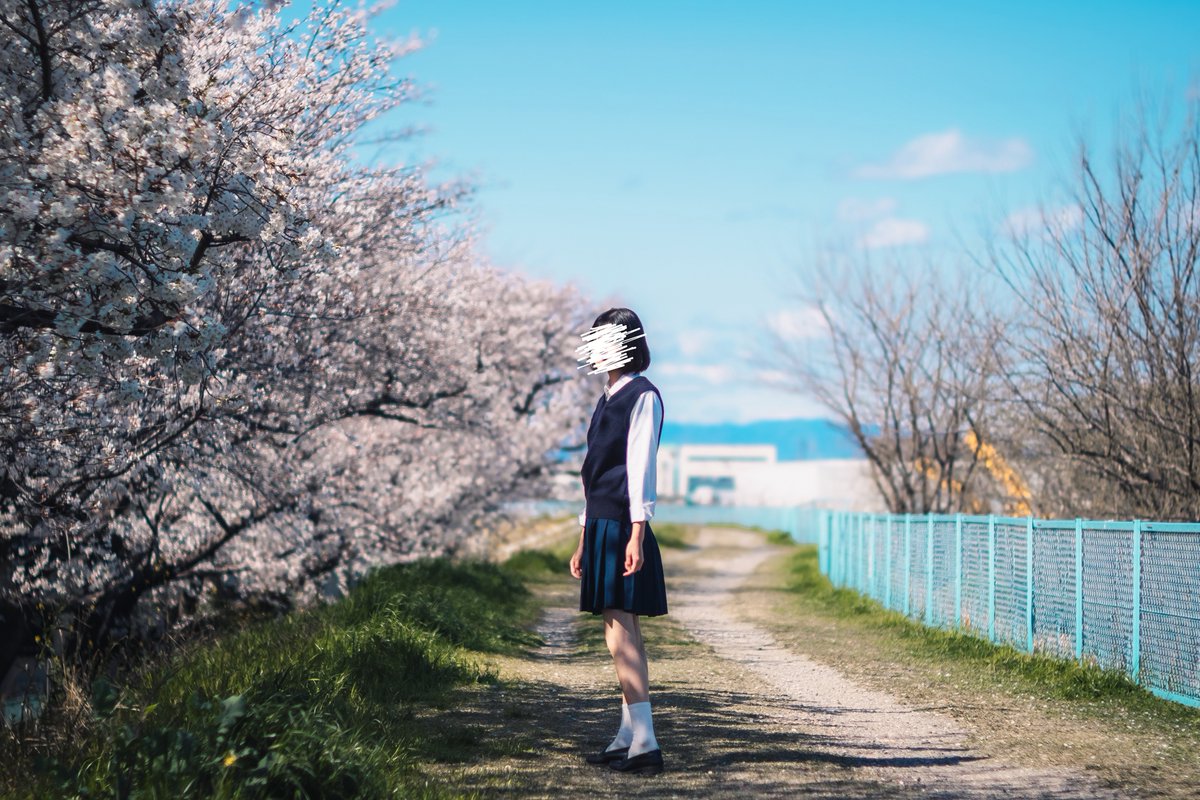 海波 / minami tweet media