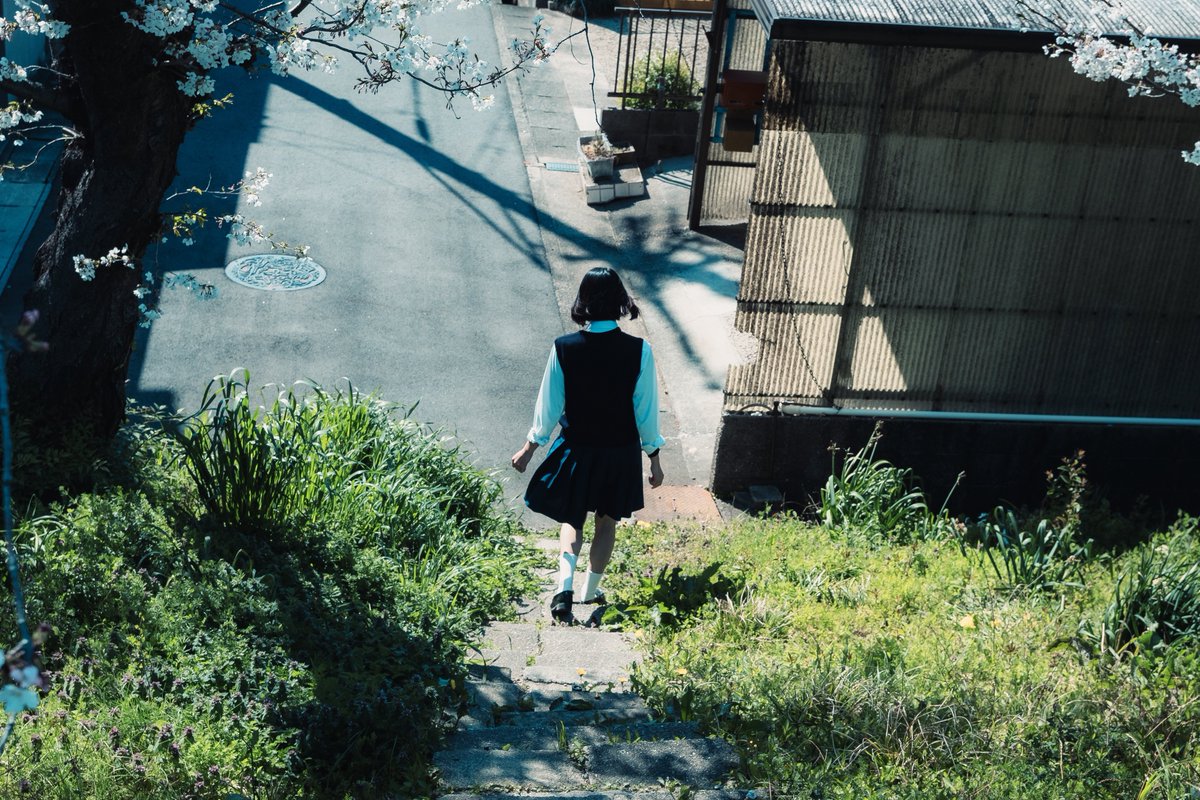 海波 / minami tweet media