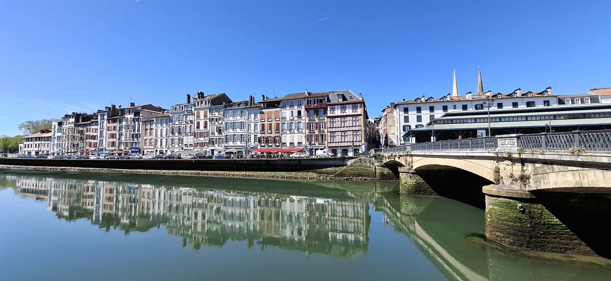 Elisabet Roch tweet media