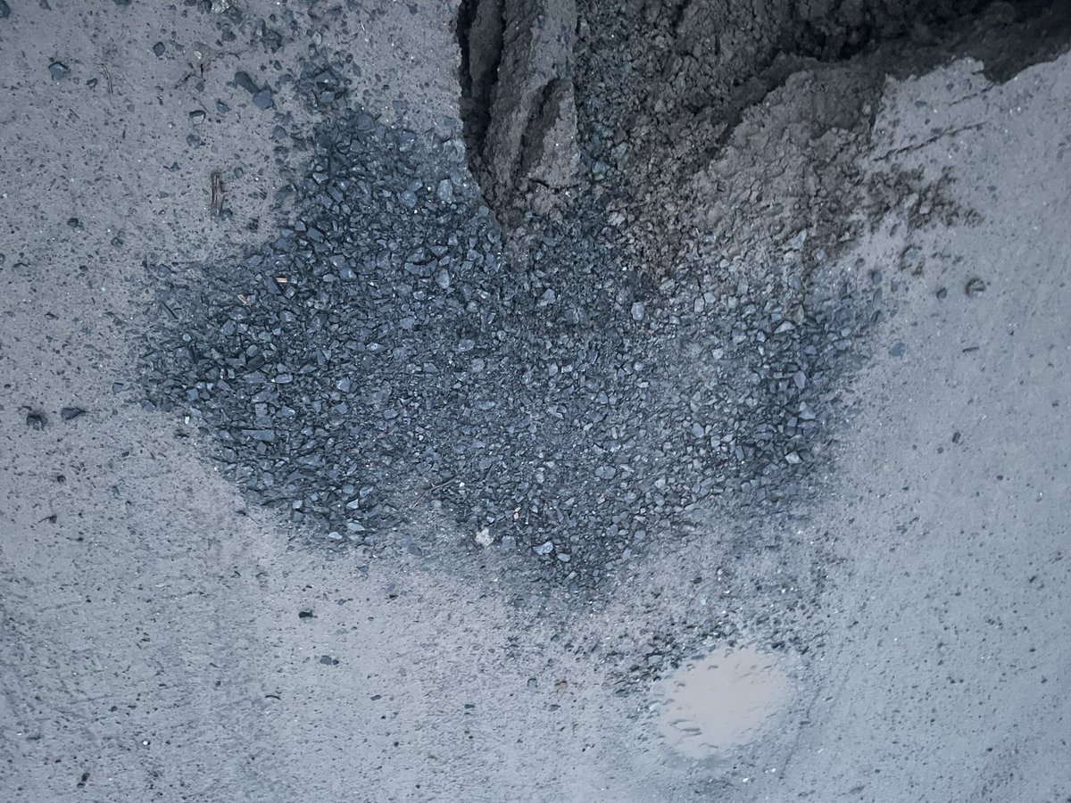 Roanne Collins tweet media