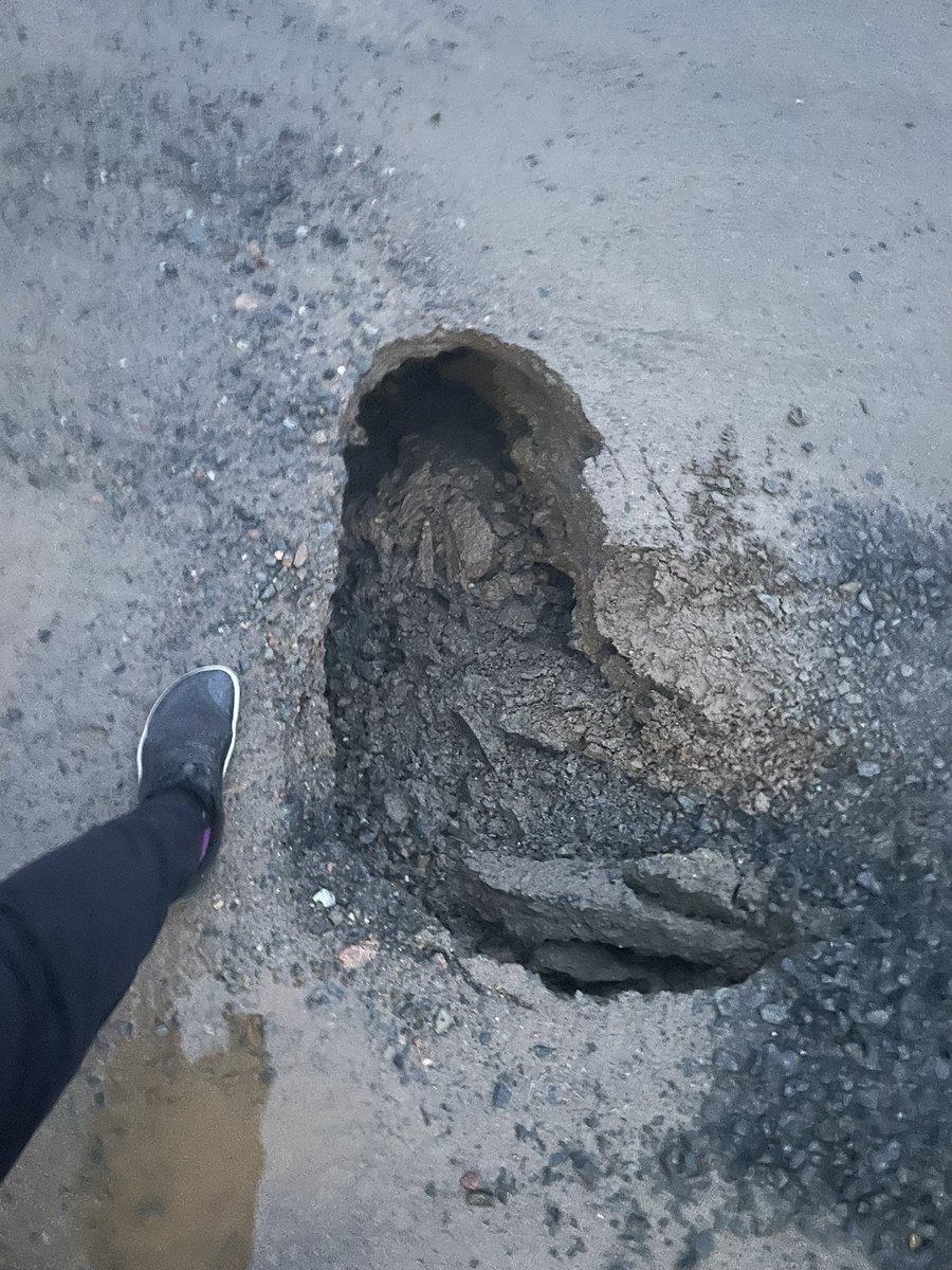 Roanne Collins tweet media