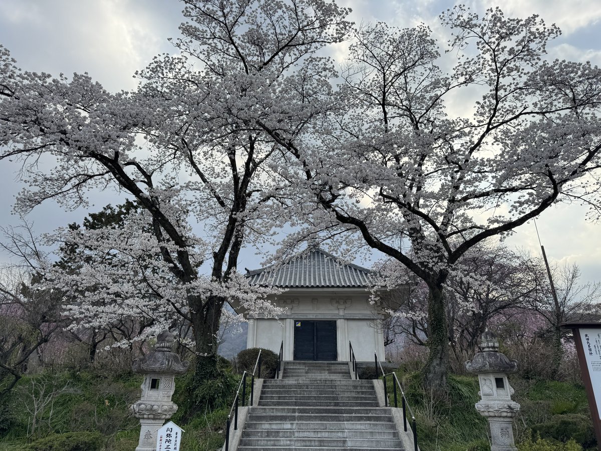 ぼあたん@神社と喫茶店 tweet media