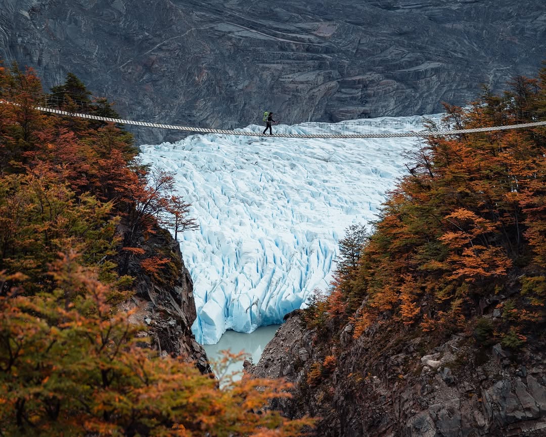 𝘄𝗮𝗻𝗱𝗲𝗿𝘁𝗿𝗮𝘃𝗲𝗹𝘀 tweet media