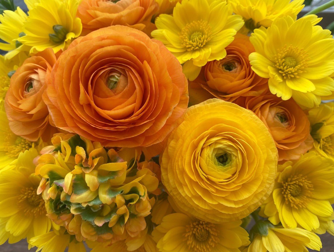 にっしー tweet media