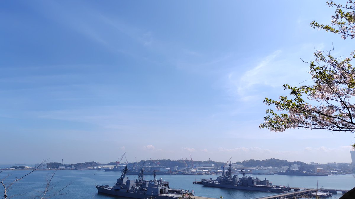 Jenson#22◢₄₆🦒✨️(R.N.インターミディエイト) tweet media