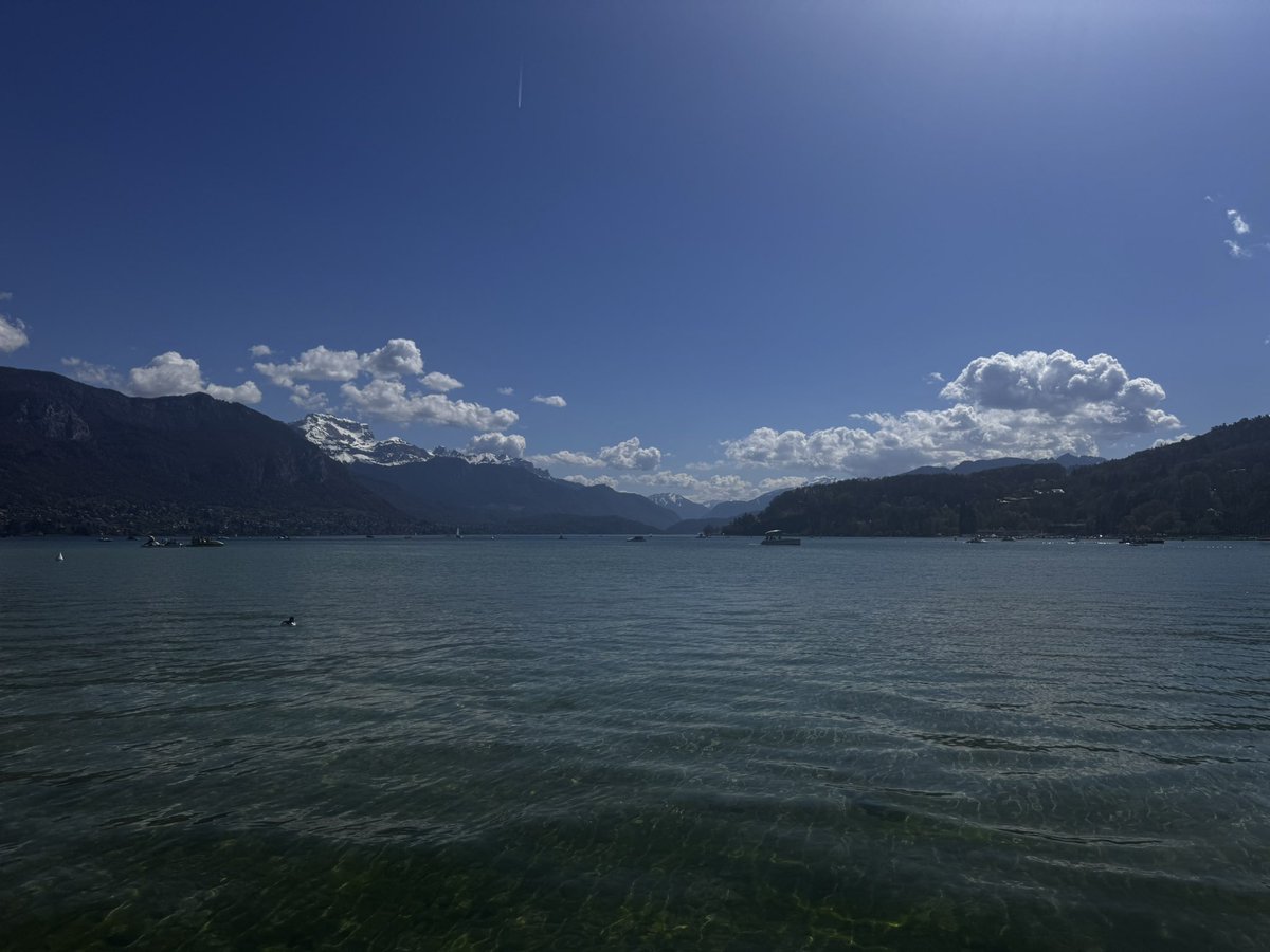 Aloonea 🧸 tweet media