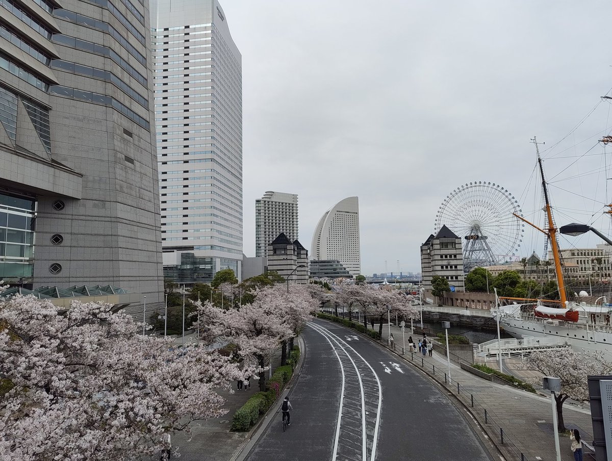 しおり.acc tweet media