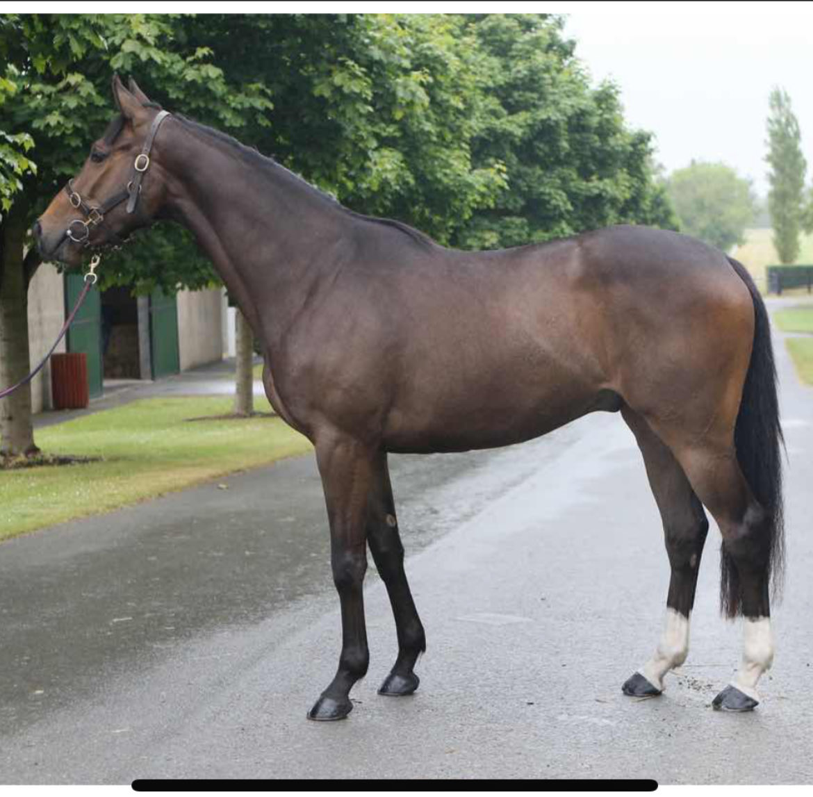 Joe Codd tweet media