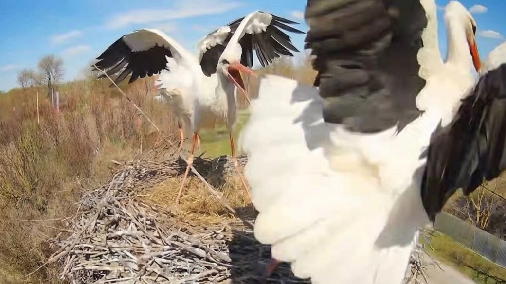 Регіоналіті tweet media