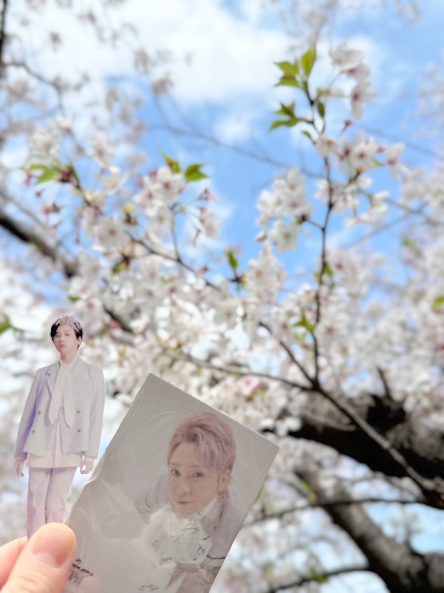 あいり tweet media