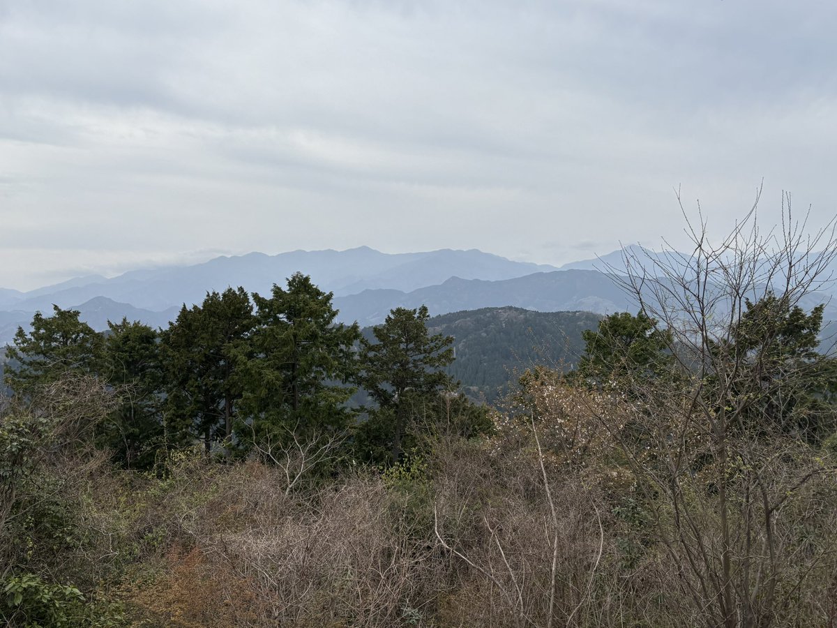 花火色fish tweet media