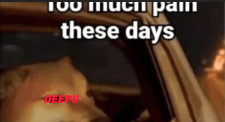 ꪜɪᴊᴀʏ💫🚩 tweet media