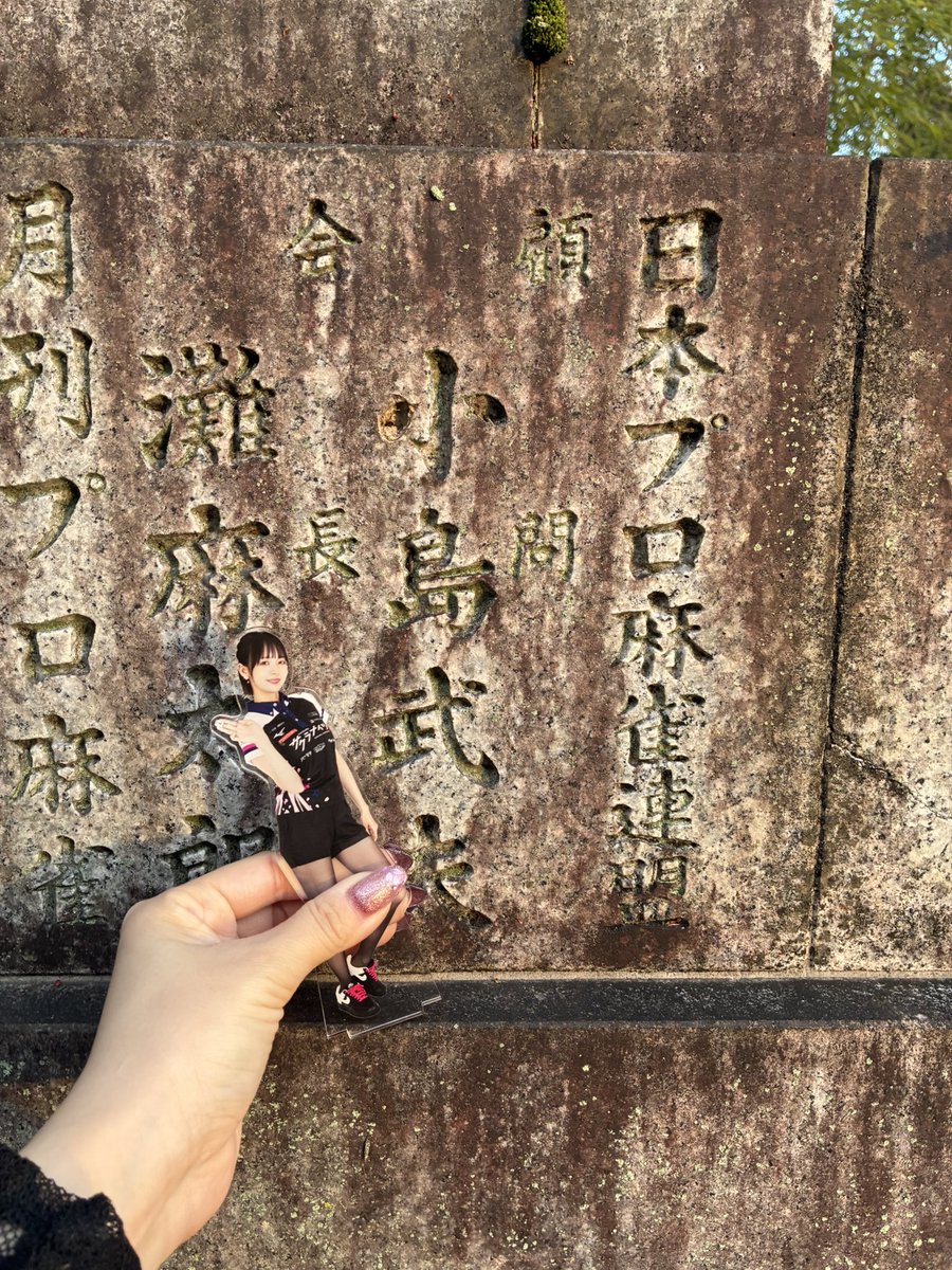 さ く ら ん ぼ ち ゃ ん🍒🌸🧋たぴおかぴ/桜騎士団 tweet media