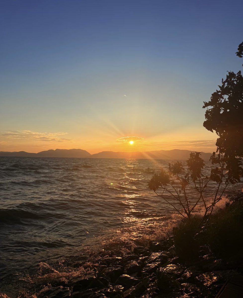 xzi93020's tweet photo. 异地的晚风，吹不到远方，却总能吹懂我偏爱云南的温柔。
 #昆明 https://t.co/xSYuvFCDpx