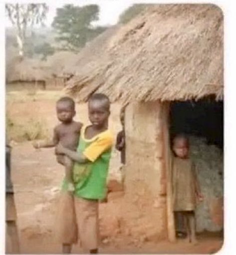 James Meadows tweet media