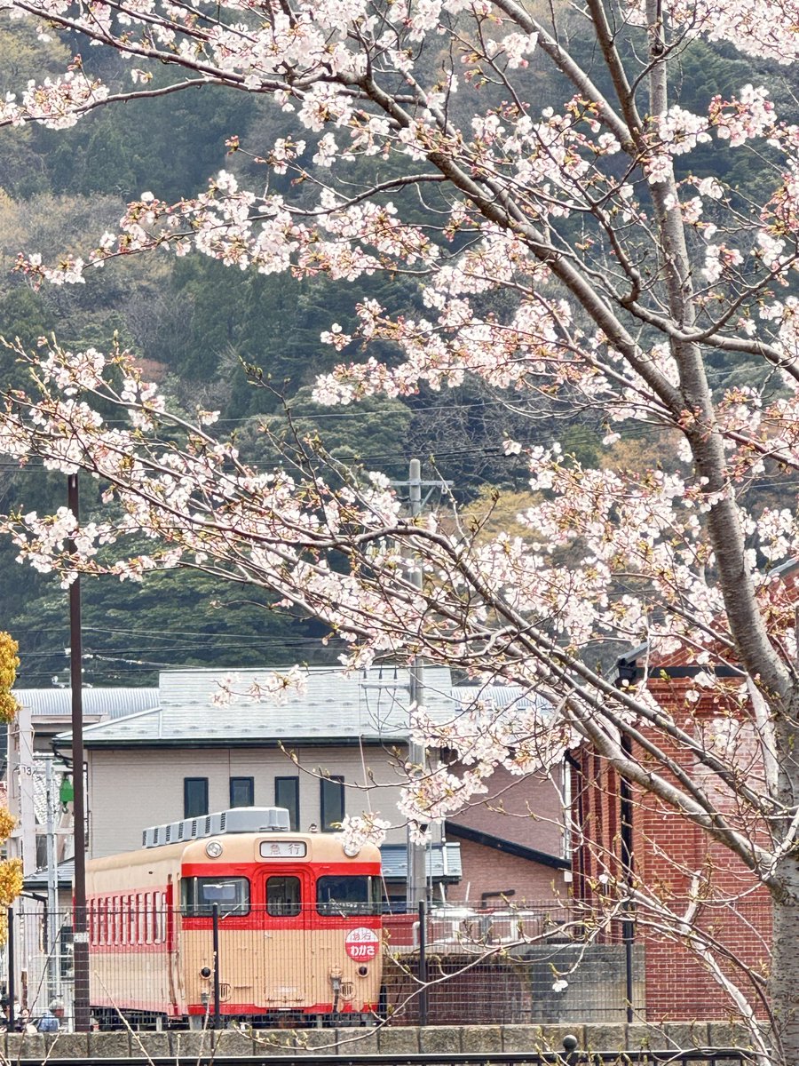 ゆんた tweet media