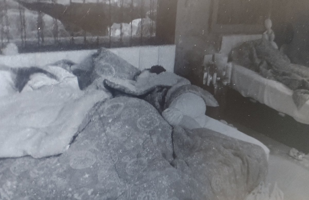 let. 🐈‍⬛ tweet media