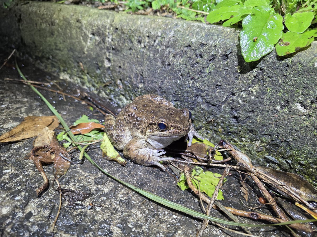 村江名∈″･⊃ウズィ tweet media