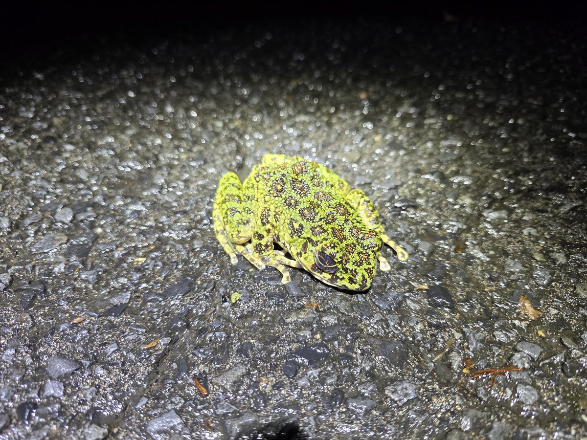 村江名∈″･⊃ウズィ tweet media