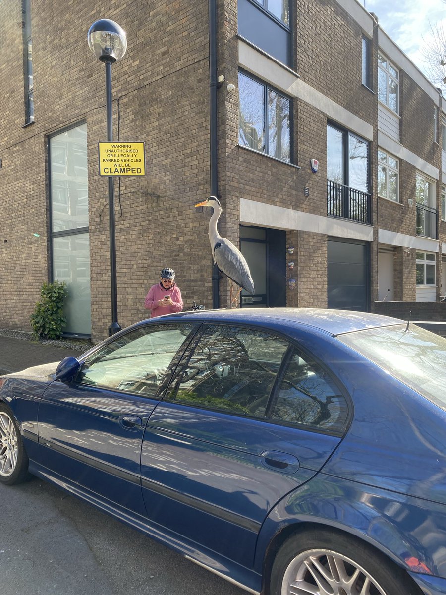 k14pinky's tweet photo. You can’t park there sir…..
Kensington UK this morning 😂 https://t.co/1ZcQ7iAd6Z