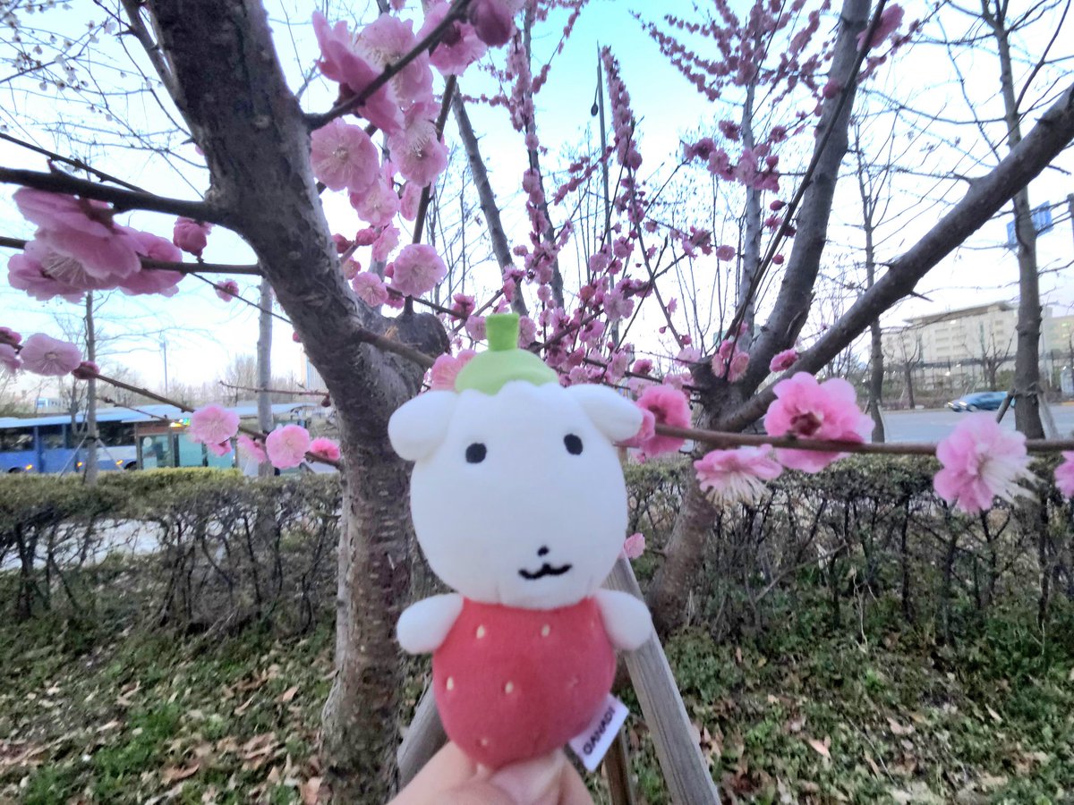 아루/アル tweet media