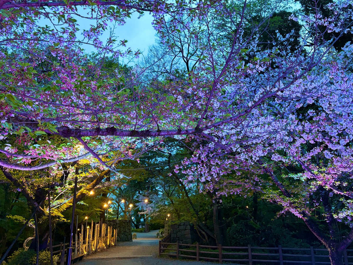 ひと（期間限定） tweet media