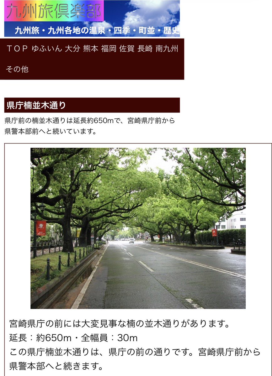 コッペパン師匠 tweet media