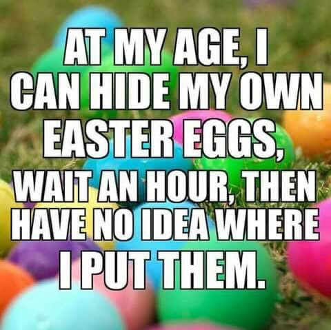 LAnDo NIFFIRG™️🇨🇦 tweet media