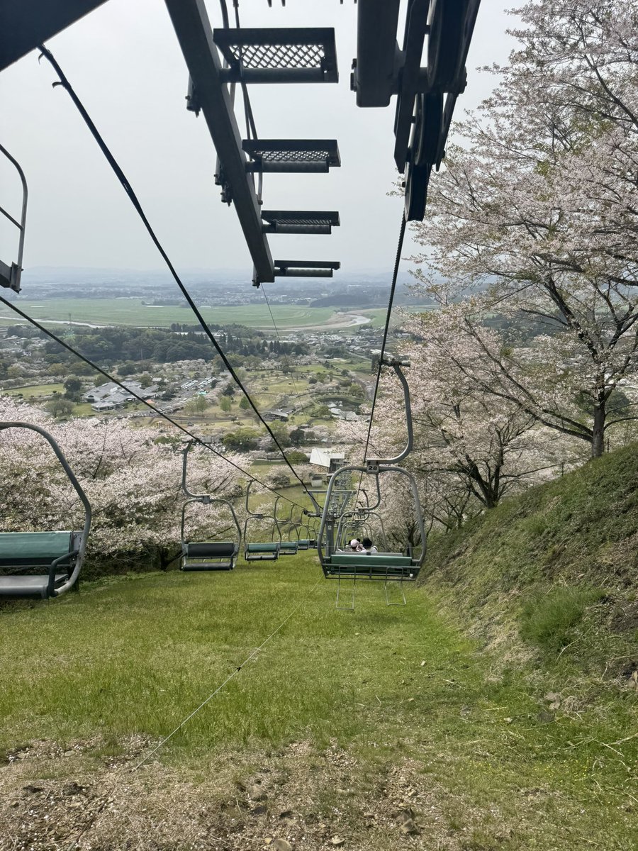 てけ ✂︎ tweet media
