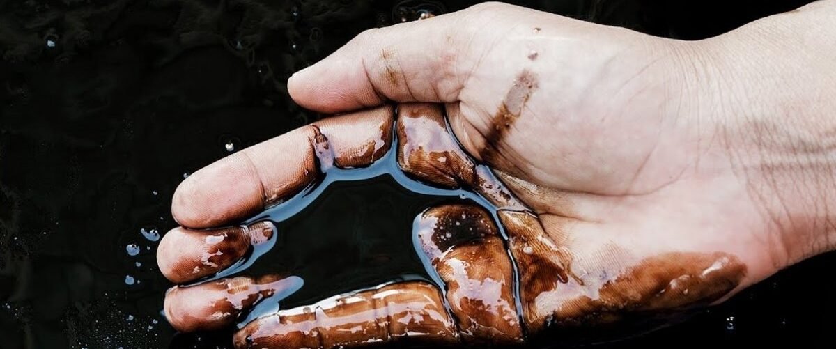 *Walter Bloomberg tweet media