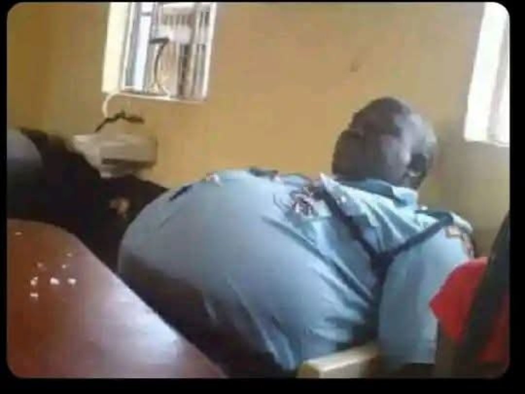 Chipukizi G. tweet media