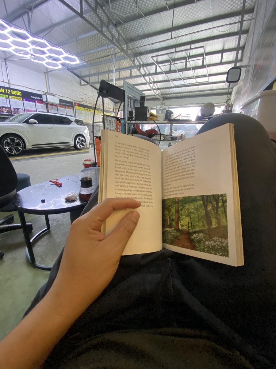 Đại Dương Lê | OceanLee tweet media