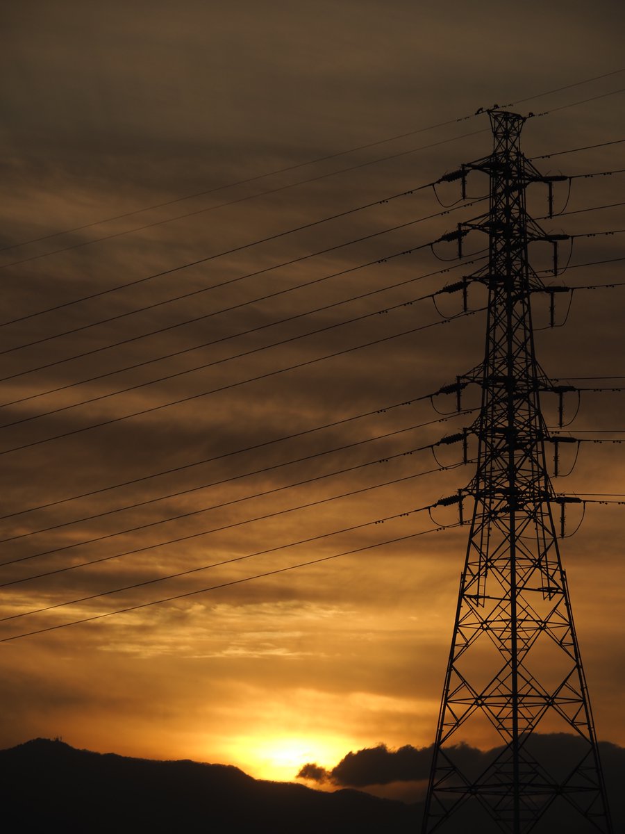 ほしかす tweet media