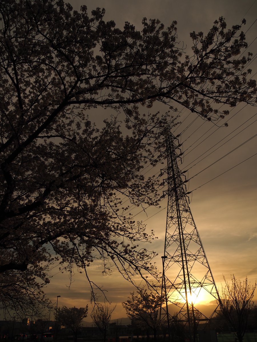 ほしかす tweet media