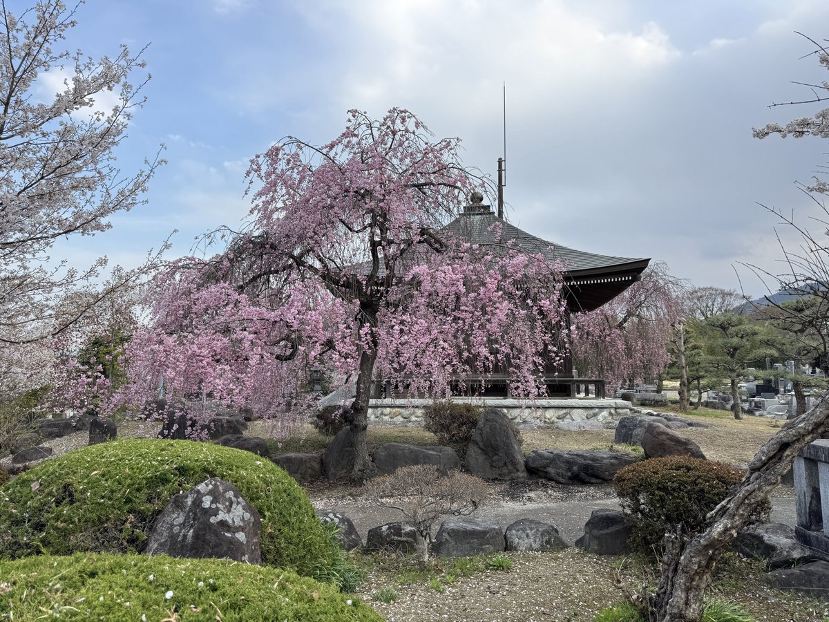 ぼあたん@神社と喫茶店 tweet media