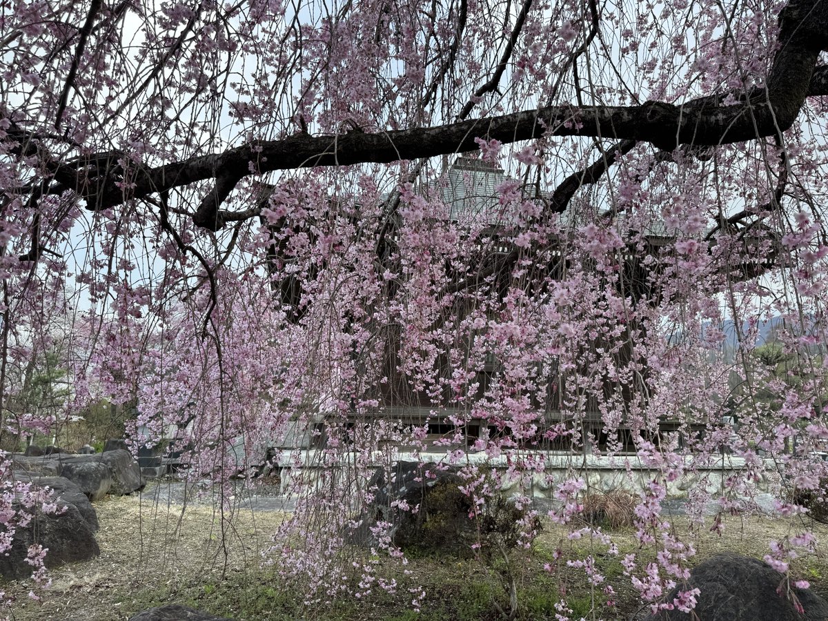 ぼあたん@神社と喫茶店 tweet media