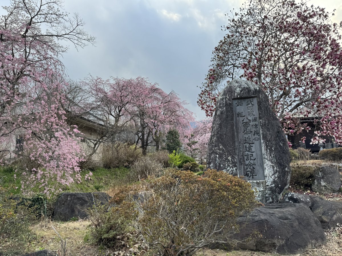 ぼあたん@神社と喫茶店 tweet media