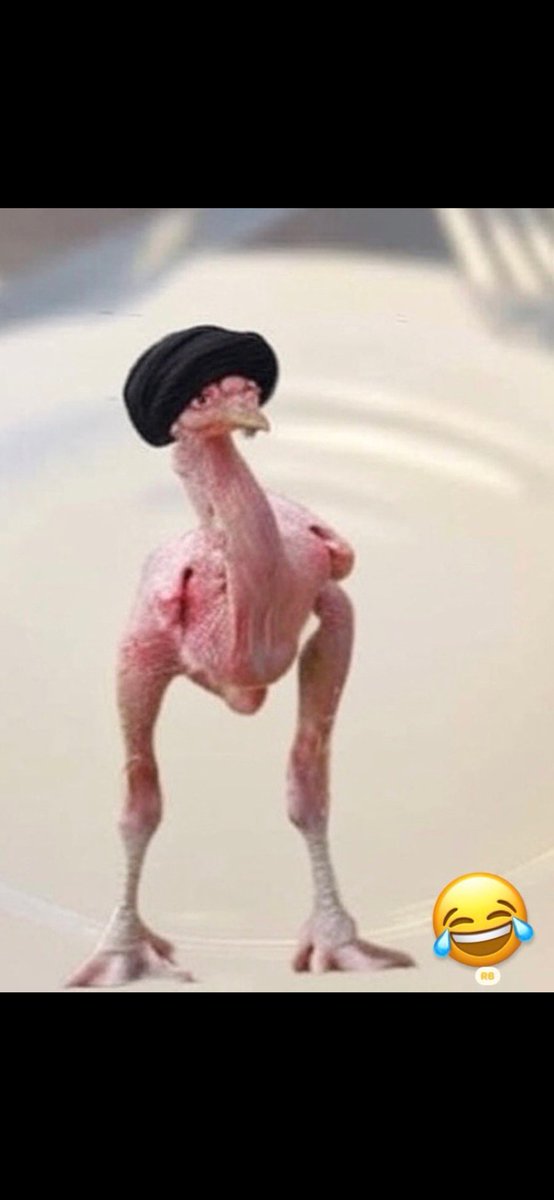 Key Games tweet media