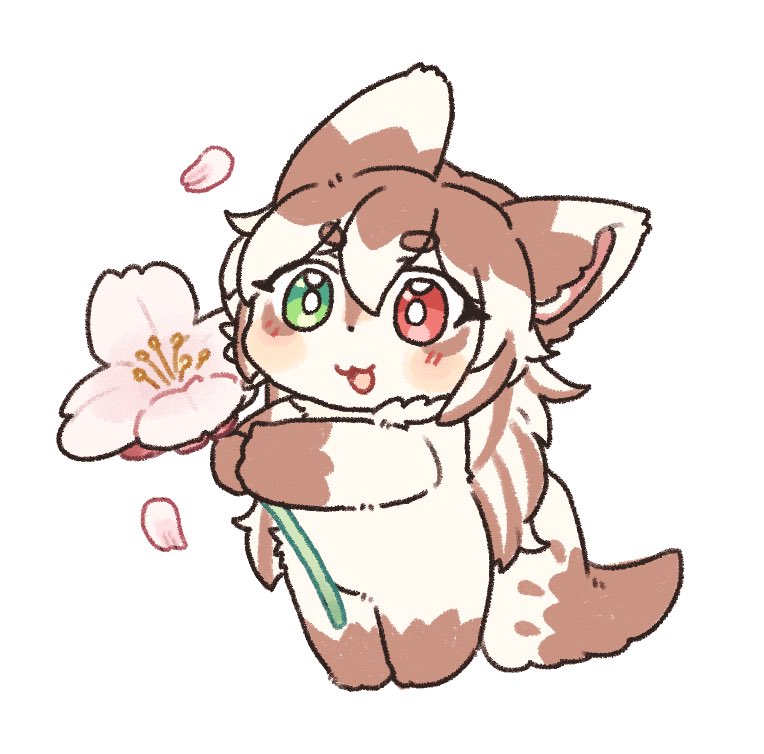 🍈 メロ/메로🍈 tweet media