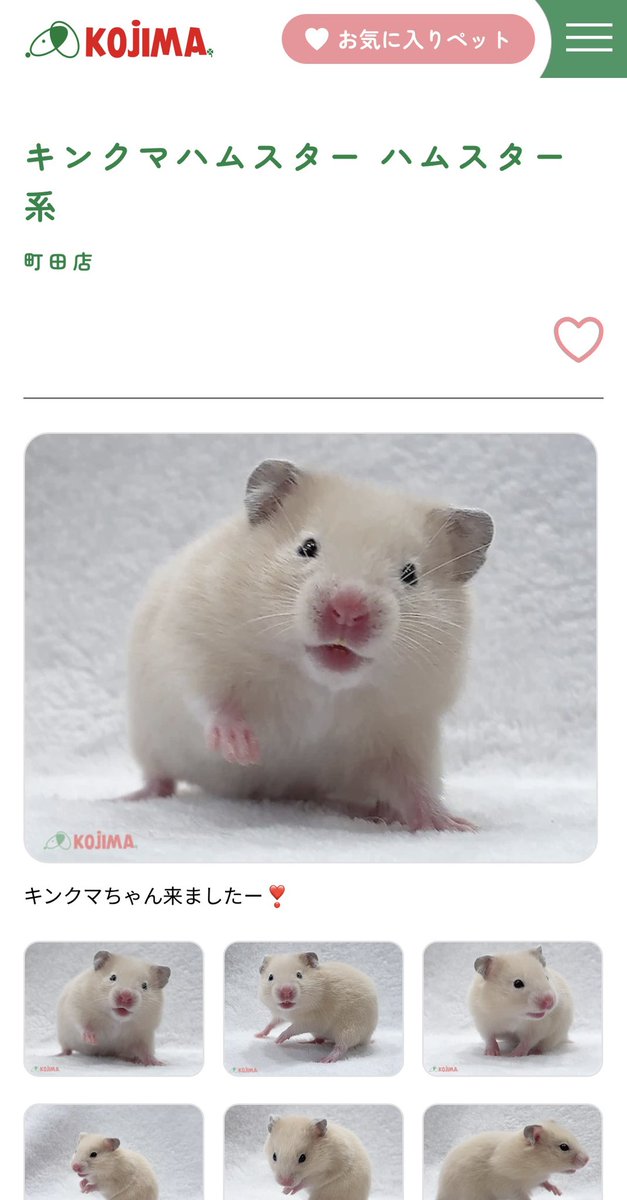 こいつかわいすぎるWWWWWWWWWWWWWWWWWWWWWWWWWWWWWWWWWWWWWWWWWWWWWWWW
